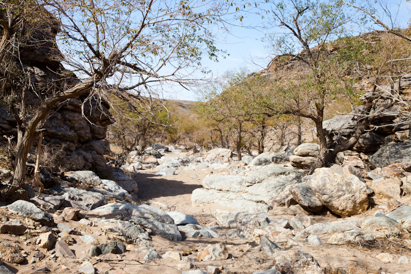 Dry Stream Bed